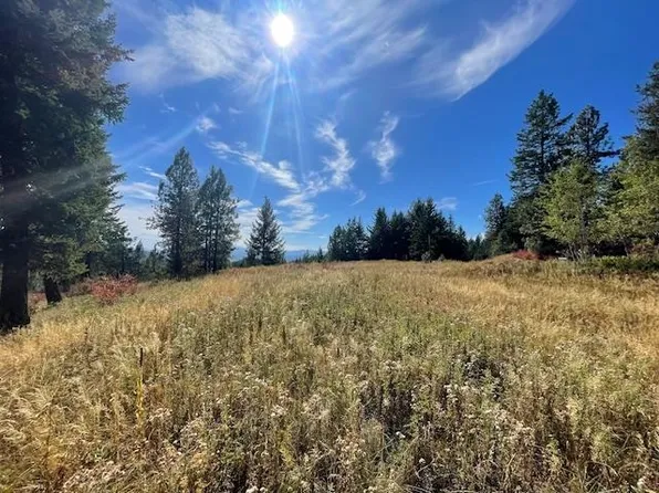 745D Dry Gulch Rd, Colville, WA 99114
