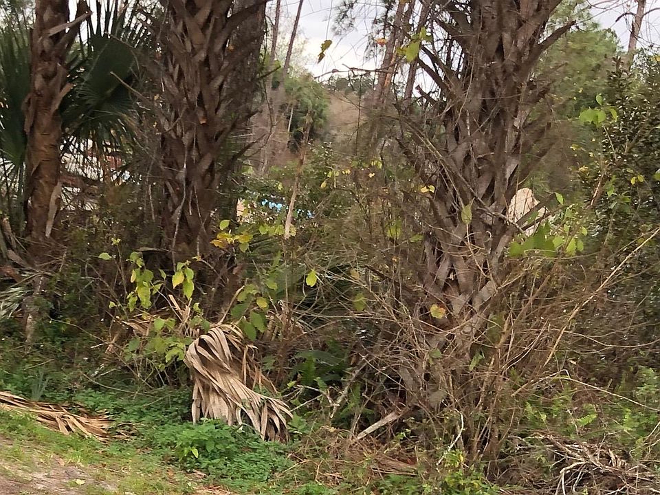 1st image of 902 Baylor Dr