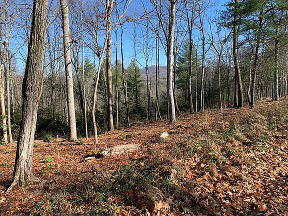 5th image of Eastridge Ct