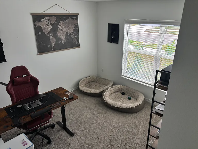 3084 Living Coral St — Photo 13