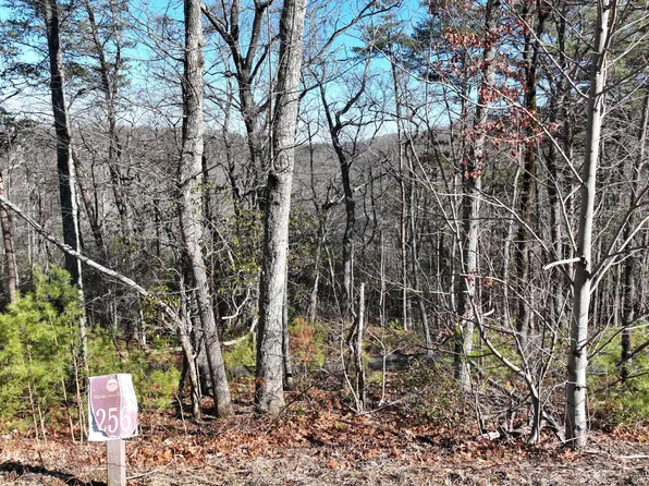 256 Stone Cliff Dr, Ellijay, GA 30536