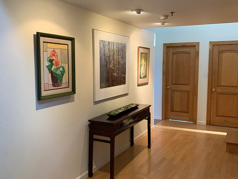 Hallway from Living room to Kitchen and Bedrooms