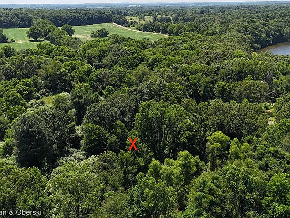 2nd image of 13505 Island Lake Rd
