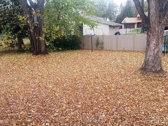 Just Look at this Backyard