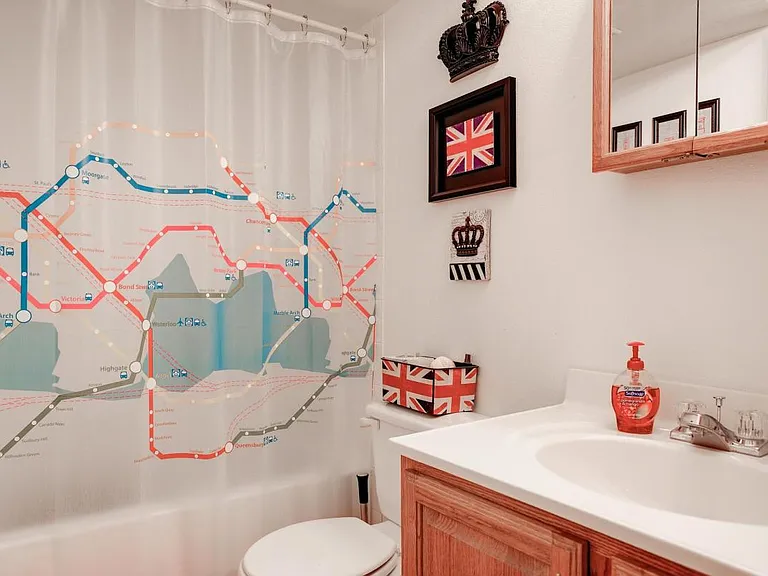 Lower Floor Bathroom (full)