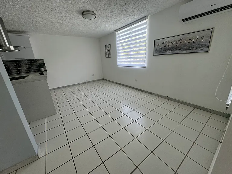 Family/TV area
