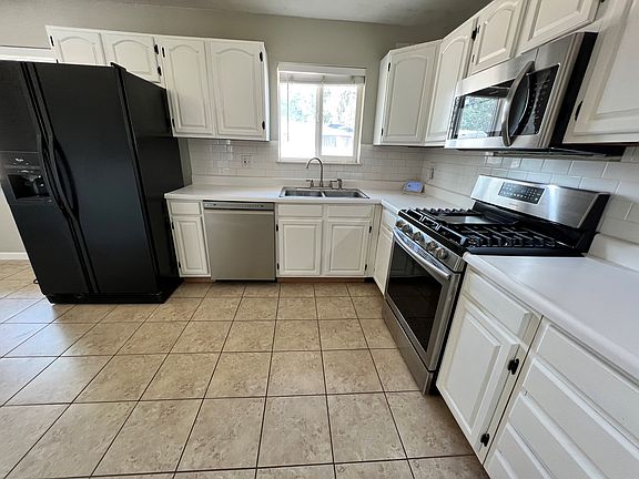 2405_cactus_c_08212022