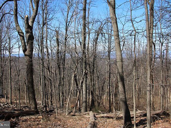 3rd image of Windy Way