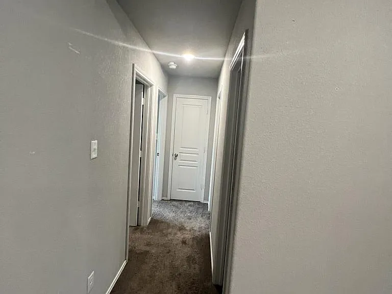 2428 Nolan Creek St — Photo 13