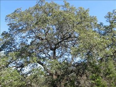 0 Sierra Rdg, Canyon Lake, TX, 78133