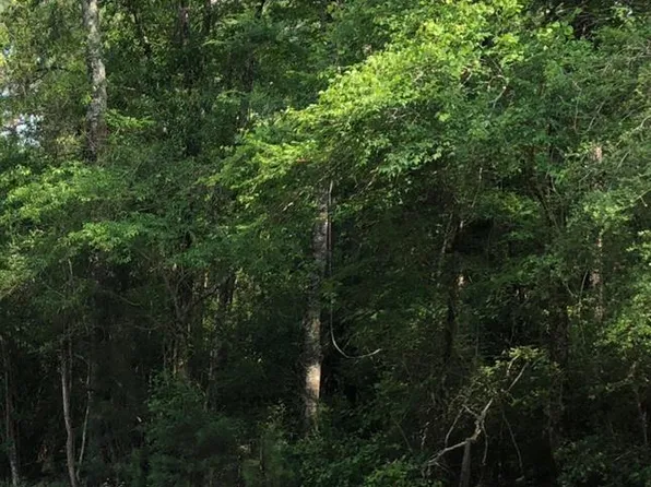 0 Highway 126 E, Sikes, LA 71473