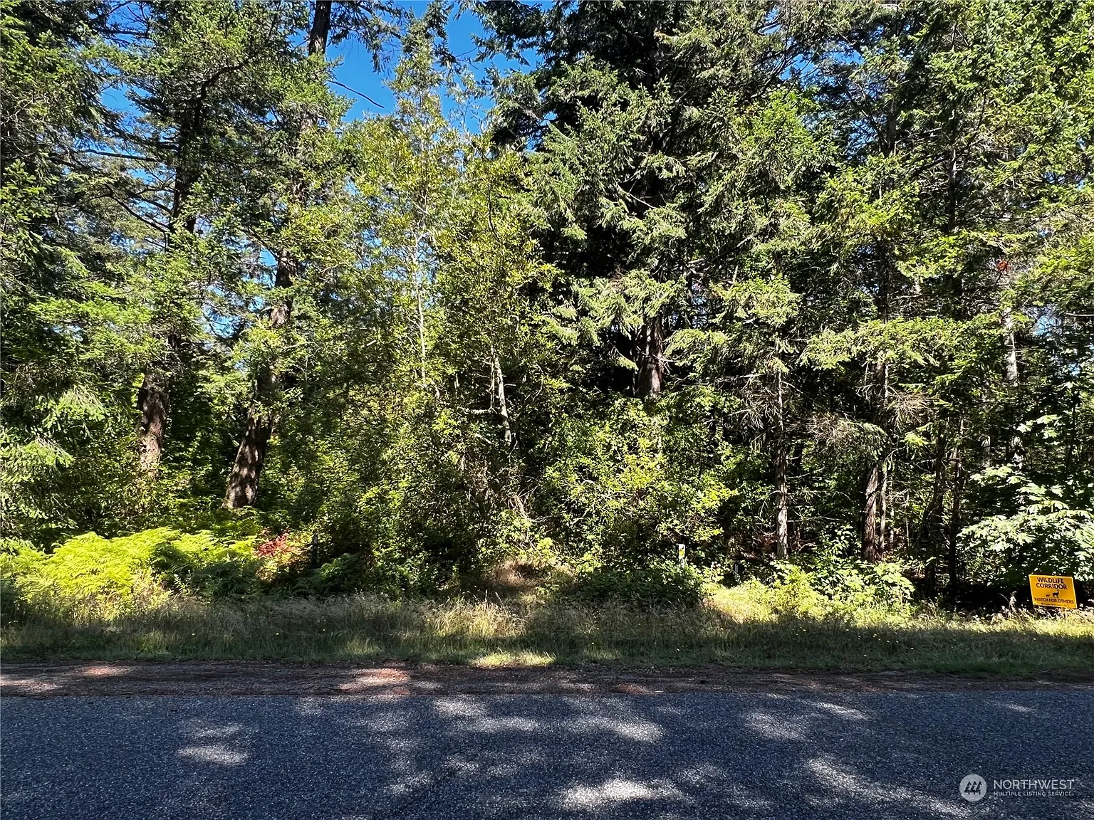 0 Dogwood Way photo 1