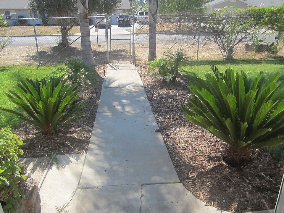 Walkway to front door