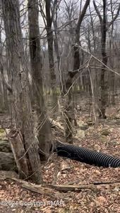 Stony Hollow Dr #608, Tobyhanna, PA, 18466