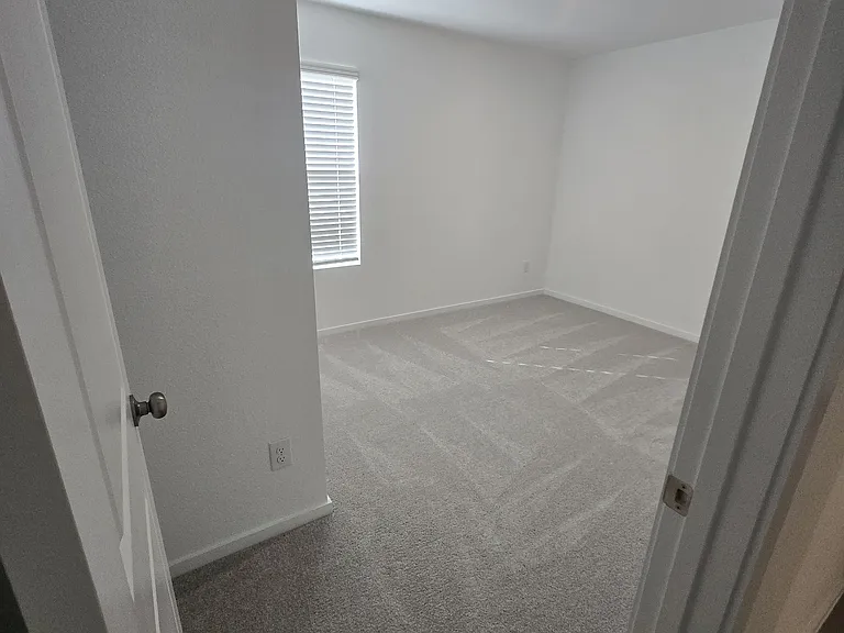 3164 Burmese St — Photo 30