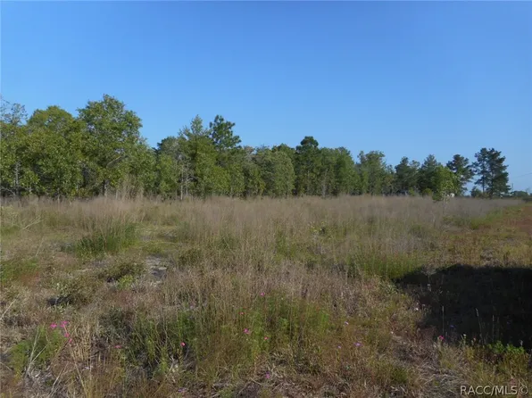 L-20 NE 118th Ter, Bronson, FL 32621