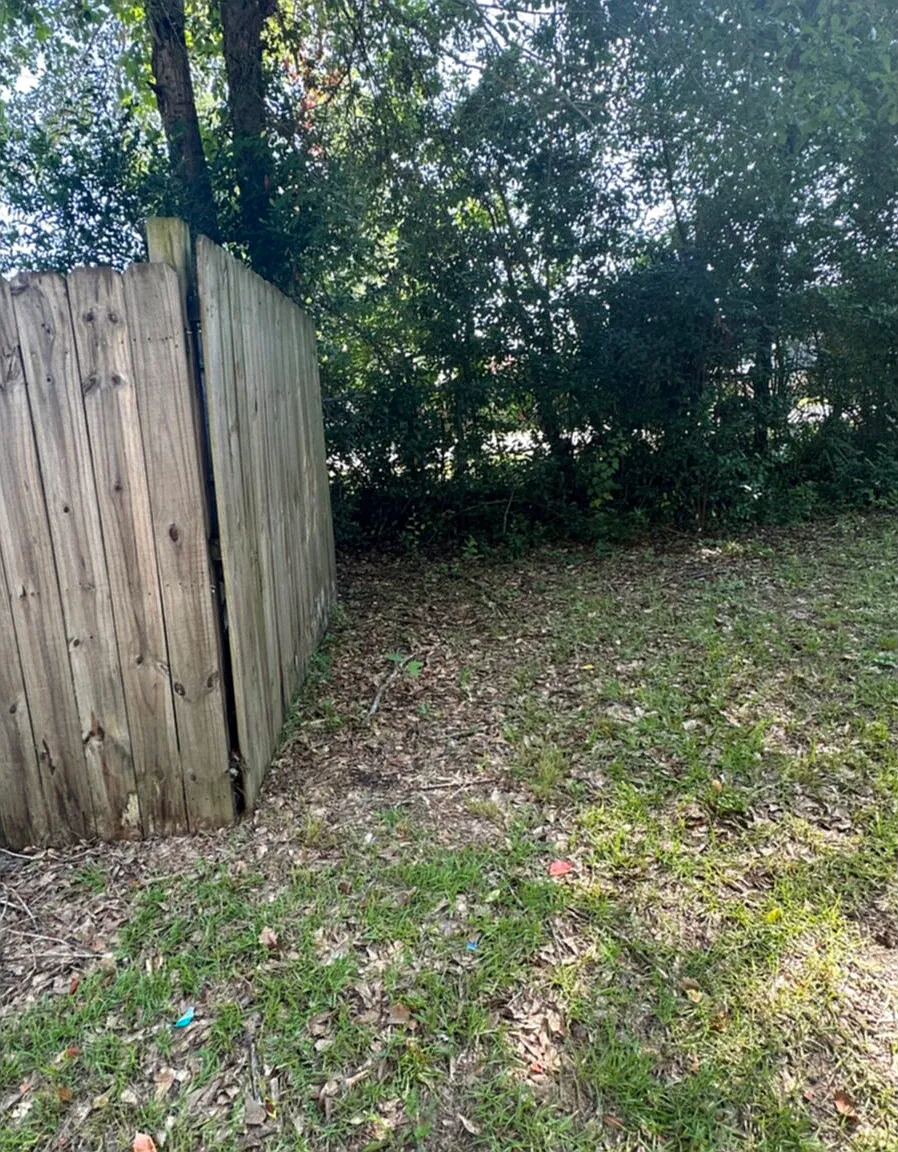 Studio, $400 — Photo 2