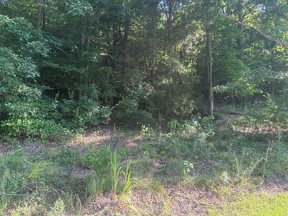 5th image of TRACT 6 Carroll Hollow Rd