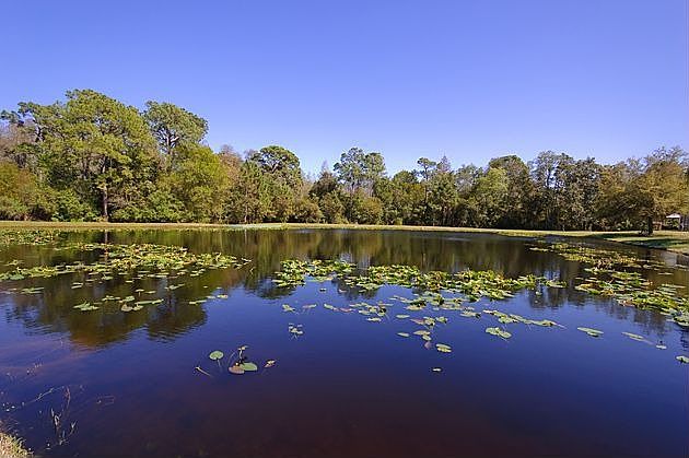 2nd image of 4032 Ligustrum Dr