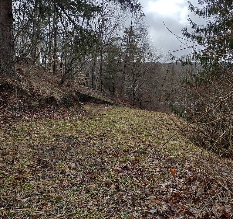 1st image of 1205 Essex