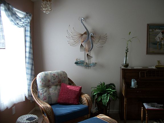 Sunny Great Room