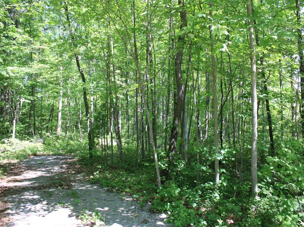 254 Penn Rd, Mio, MI 48647