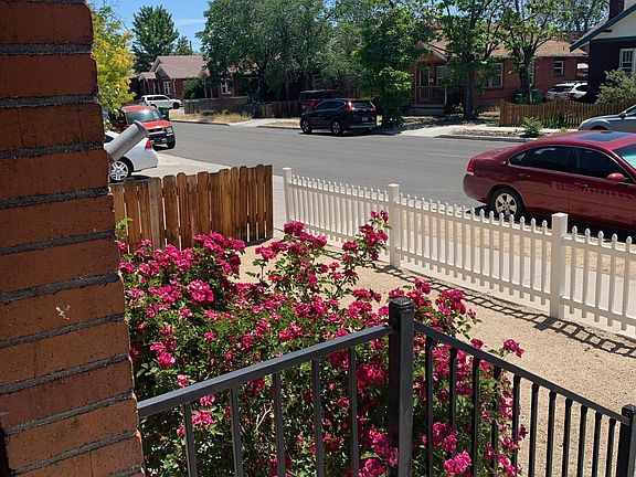 landscaped with drip system