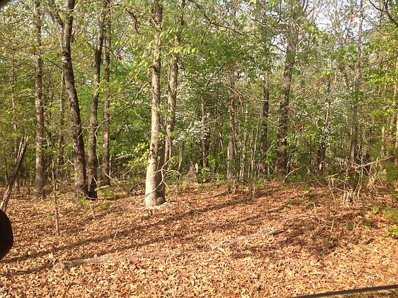 5th image of Forest Hills Ln #Lots