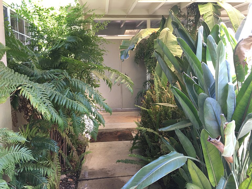 1st image of 3627 Lupine Ave