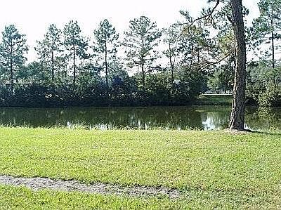 Spring Fed Pond behnd units