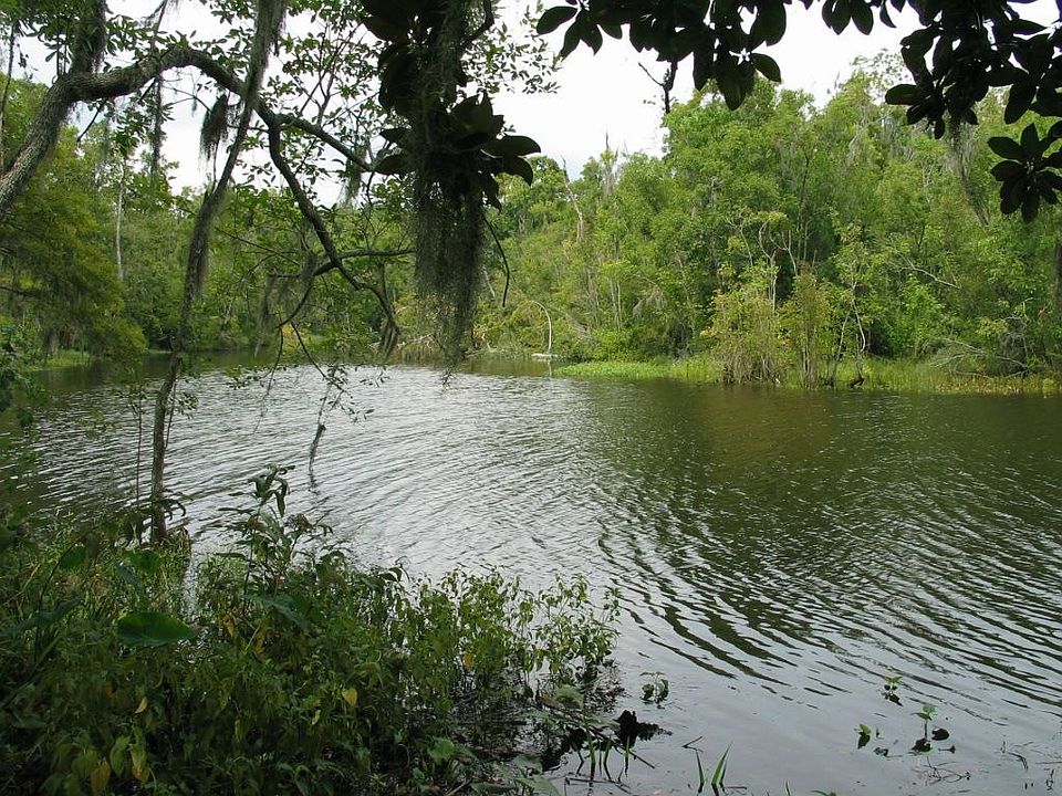 165 ft of frontage on Peters Creek