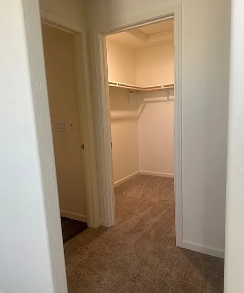 2882 Bay Hill Dr — Photo 18