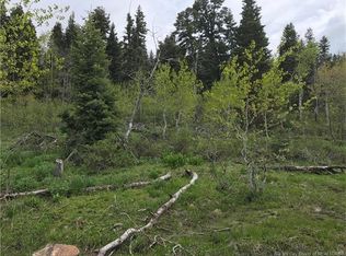 917 W Deep Forest Rd, Wanship, UT 84017