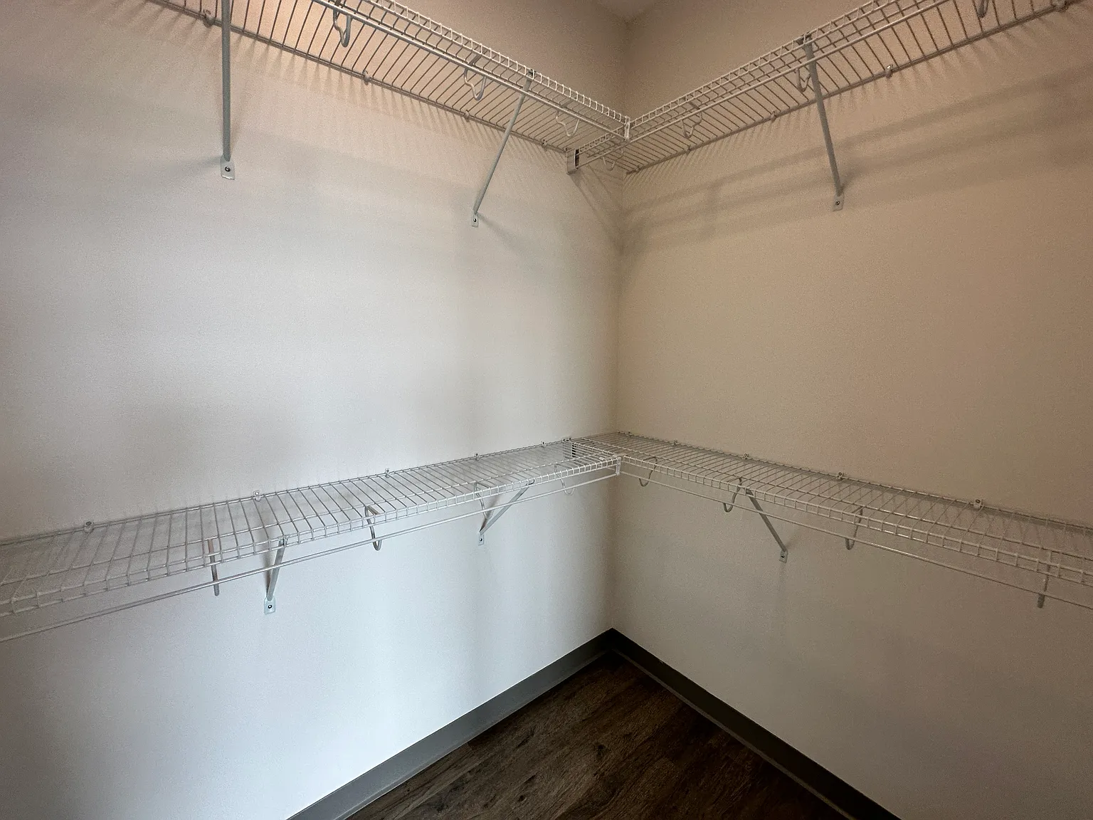 Red Oak at 409 Elm Street — Photo 4