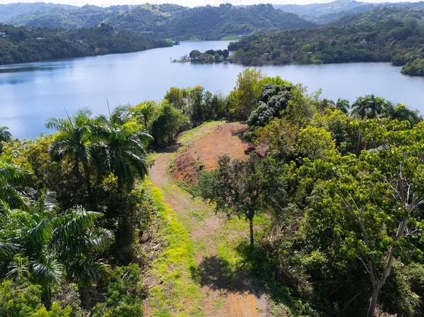 827 Km 5.0 Interior Bo Ortiz Lot 3, Toa Alta, PR 00953
