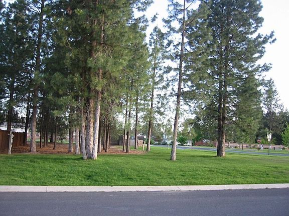 View from front of house