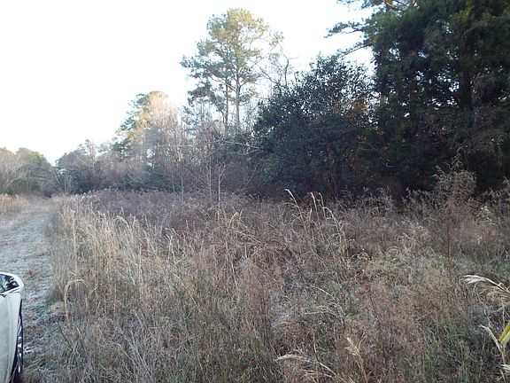 5th image of 221 Embassy Dr
