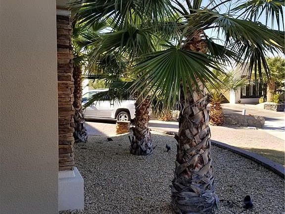 4th image of 3084 Coyote Pass Ln
