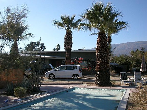 Pool and Yard