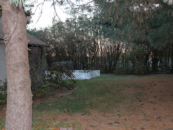 Side of garage and garden