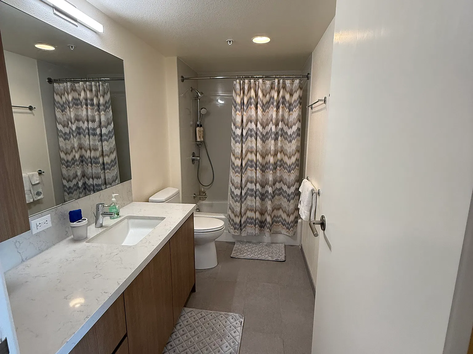 1 bed, 698 sqft, $3,300 — Photo 4