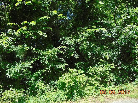 2nd image of 139 County Road 219