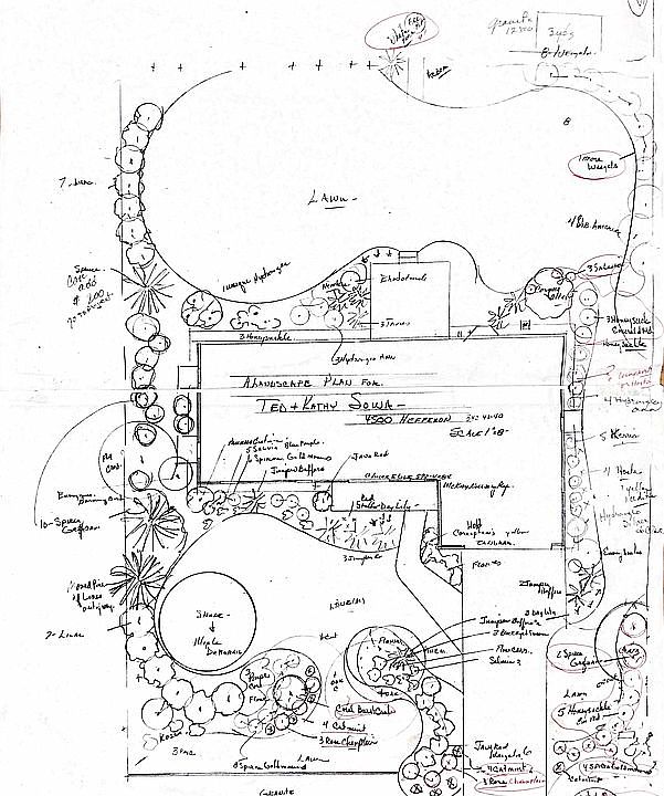 Landscaping schematic