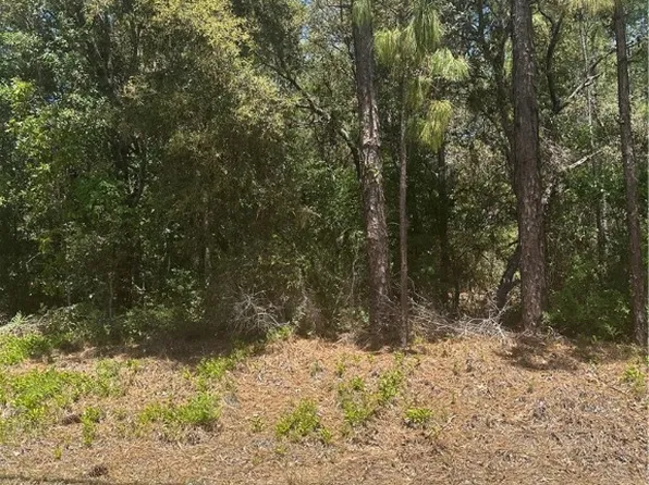 557 W Anderson Ln, Citrus Springs, FL 34434