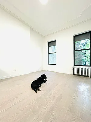 Rented by Lone Peak Realty | media 40