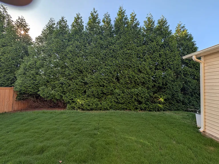 2428 Averon Dr — Photo 5