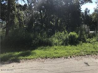 0 County Road 678, Webster, FL 33597