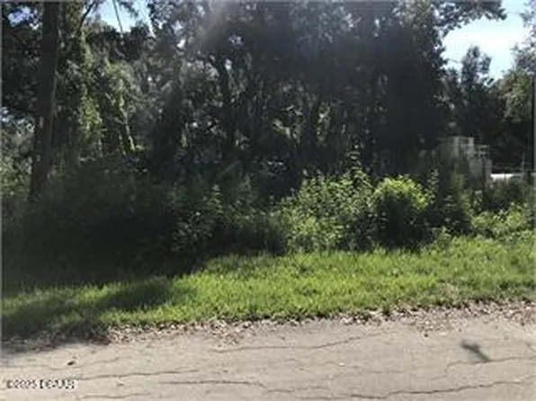 0 County Road 678, Webster, FL 33597