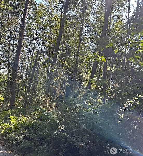 4th image of 0 xxx Forest View Lane