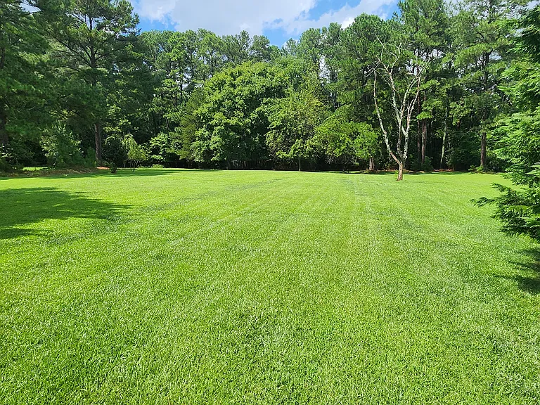 Large long back yard - over 50 yards to back tree line